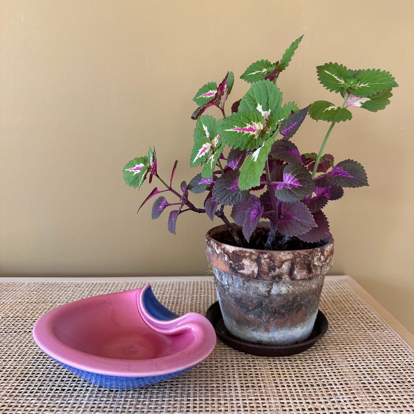 Vintage Murano Glasskål