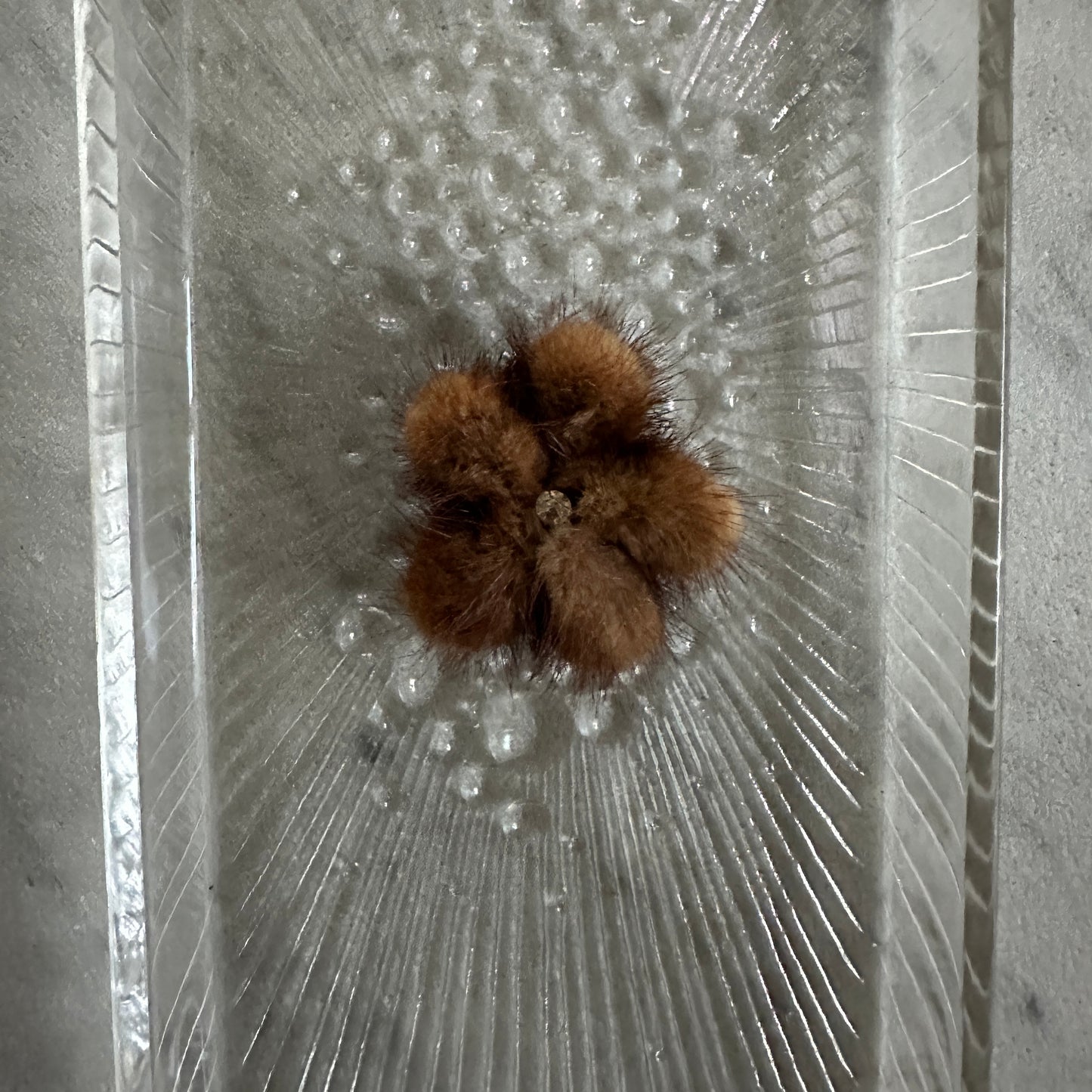 Minkbroche med en similisten i midten